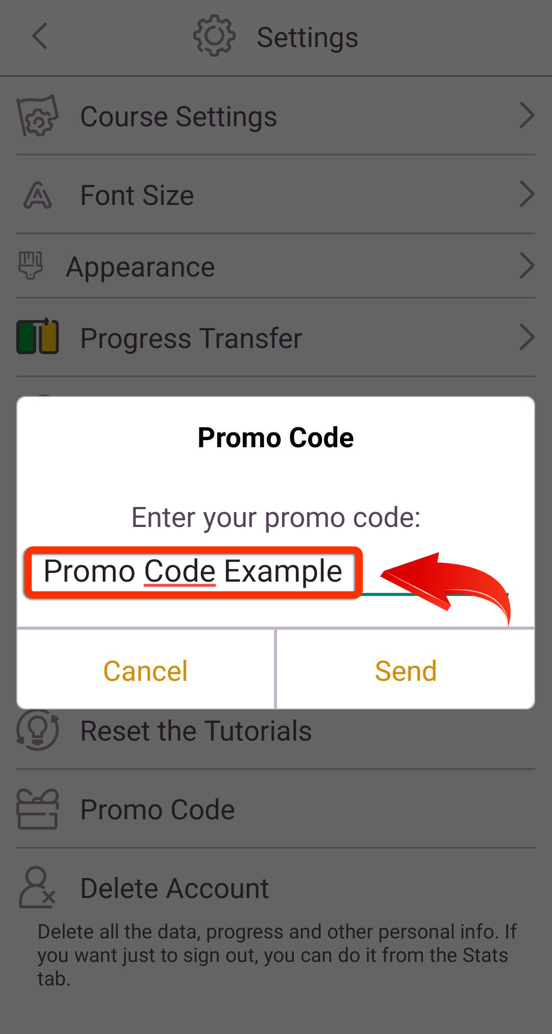 Promo_Code_Example_2.jpg